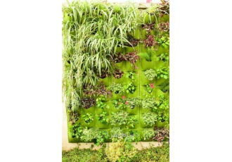 اجرای دیوار سبز