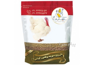 تامین و عرضه دان مخصوص بوقلمون و کنسانتره سابین