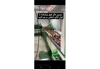 خط سورتینگ میوه