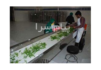 ماشین سورت در مشهد این ماشین ها عموماً برای اعمال بازرسی چشمی توسط