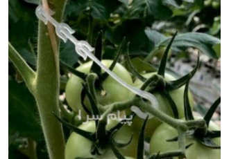 قلاب نگهدارنده بوته در تهران قلاب نگهدارنده یا عصایی با جلوگیری از آسیب