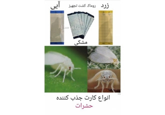 فروش کارت زرد جذب حشرات در تهران از کارت زرد جذب حشره برای کنترل