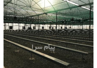 گاتر بستر کشت گلخانه در تهران انتخاب برای گاتر بستر کشت با طول نامحدود