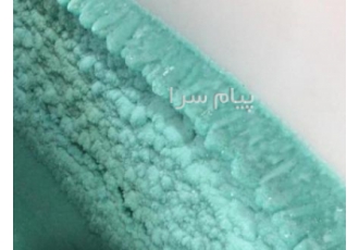 فروش سولفات آهن تولید سولفات اهن در تهران تولید سولفات آهن و فروش