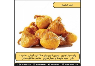 نهال انجیر استهبان در میاندوآب نهال انجیر استهبان مشخصات نهال انجیر