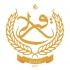 لایکو الیاف پلی استر در تهران ارائه دهنده انواع الیاف پلی استر هالو