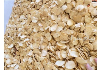خرید و فروش موسیر و سیر