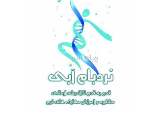 مهارت های نرم با نردبام آبی در تهران مهارت های نرم چیست؟ آموزش مهارت