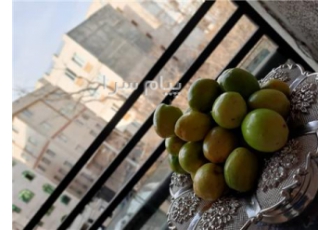 فروش کُنار مرغوب و درجه یک در تهران کُنار از باغات بوشهر به صورت عمده