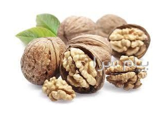 فروش انواع گردو و مغز گردو اعلا تا خورشتی با نازلترین قیمت