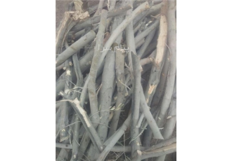 فروش عمده انواع چوب