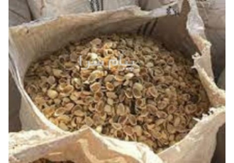 خرید و فروش پوست بادام، پوست گردو، پوست پسته، پوست فندق