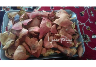 فروش پوست انار