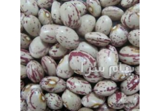 خرید و فروش انواع لوبیا در دهاقان خرید و فروش انواع لوبیا از جمله چیتی