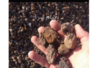 پخش پوکه معظمی