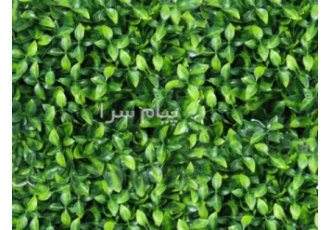 فروش عمده انواع گرین وال در شهرقدس گرین وال ها تولید شرکت آریا پود بوده