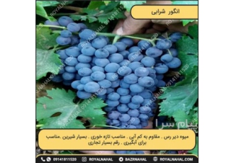 خریدنهال مقاوم به سرمای بهاره