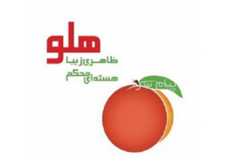 نرم افزار حسابداری لوازم بهداشتی و مصالح ساختمانی هلو  ساده
