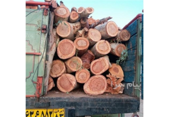 خرید انواع چوب اکالیپتوس و غیره...