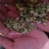 لپه باقله مرغوب و خوشپخت در بروجرد باسلام چند تن لپه باقله ریز و خوشپخت