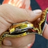 ساعت رادو اصلی سوئیس اتوماتیک در مشهد ساعت رادو اتومات سویسی موتور زرد