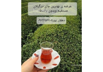 فروش چای بهاره در پاکدشت توزیع و پخش چای بهاره 1403 منطقه کوهپایه ای