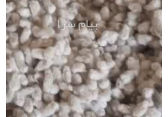 خرید و فروش تخم پنبه و پنبه خام و پنبه تسویه شده