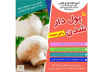 آموزشگاه پرورش قارچ در تهران طلوع طلایی اولین آموزشگاه و مرکزخدمات