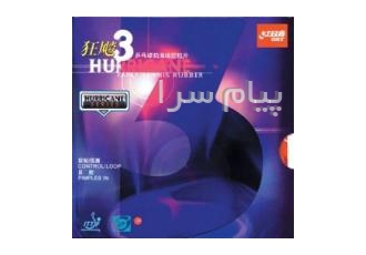 راهکارهایی برای تقویت پینگ پنگ در تهران برای پیشرفت در رشته تنیس روی