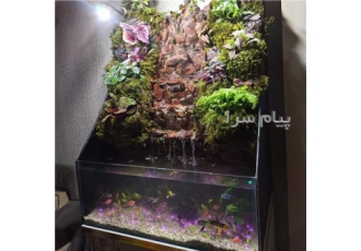 آموزش ساخت انواع تراریوم و پالوداریوم در تهران آموزش ساخت انواع تراریوم