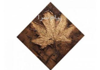 آموزش پتینه کاری و پتینه دوره حرفه ای آموزش پتینه با اساتید مجرب مخصوص