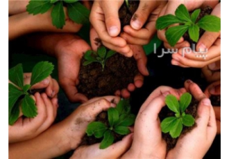 آموزشگاه کشاورزی سرزمین سبز در دزفول آموزشگاه کشاورزی در استان خوزستان