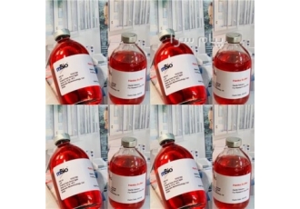 محلول هنکس در تهران محلول هنکس کمپانی mbio 100 cc hanks mbio 100 cc