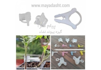 گیره پیوند نشاء در تهران فروش گیره پیوند نشاء ترک جنس مواد شفاف ژله ای