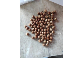 فروش فندق و مغز فندق در قزوین فروش فندق و مغز فندق تولید و توزیع انواع