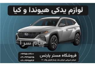 فروشگاه لوازم یدکی هیوندای سانتافه ، سوناتا ، آزرا ... فروشگاه لوازم یدکی هیوندای سانتافه ، سوناتا ، آزرا ...