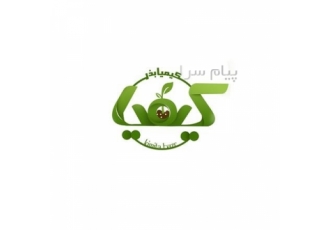 فروش بذر یونجه اصلاح شده خرید مستقیم از کارخانه در تبریز فروش عمده