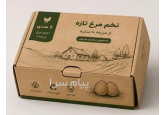 کارتن سازی و جعبه سازی آرا سلولز ایرانیان در تهران- ساوه -اراک تولید