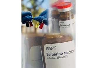 فروش Berberine chloride sigma بربرین کلراید در تهران بربرین کلرید