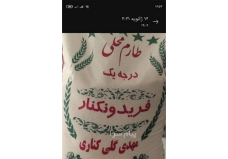 فروش فوری برنج طارم محلی درجه یک فریدونکنار فروش فوری برنج طارم محلی