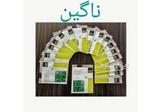 بذر خیار گلخانه ای ناگین بذر خیار گلخانه ای ناگین