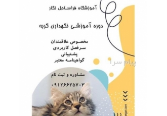 دوره تخصصی آموزش نگهداری گربه در تهران دوره تخصصی آموزش نگهداری گربه