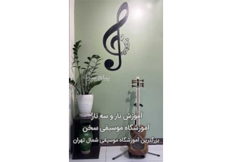 تدریس خصوصی تار و سه تار (قیطریه) در تهران آموزش و تدریس ساز تار و سه