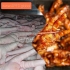 فروش و صادرات پا و پنجه مرغ گرید (+A) در کرج فروش و صادرات پنجه مرغ