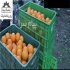 فروش سبد پلاستیکی گالن بشکه سطل دبه پلاستیکی در شهرری لوازم